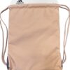 Alliance II Sackpack Beige_White