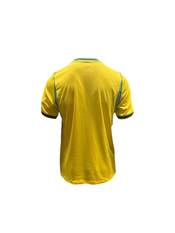 Brazil 2026 Stadium Home