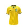 Brazil 2026 Stadium Home